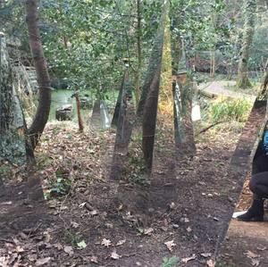 Meet your Posher, Annette